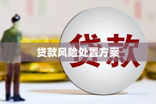 柳南贷款风险处置方案
