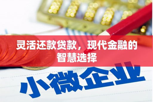 柳南灵活还款贷款，现代金融的智慧选择