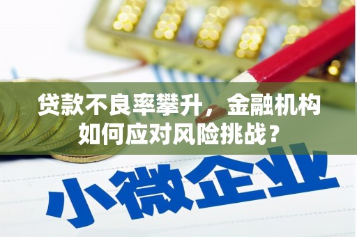 柳南贷款不良率攀升，金融机构如何应对风险挑战？