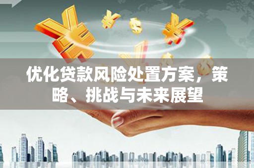 柳南优化贷款风险处置方案，策略、挑战与未来展望