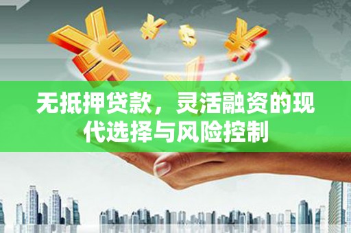 柳南无抵押贷款，灵活融资的现代选择与风险控制