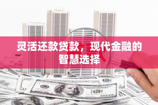 柳南灵活还款贷款，现代金融的智慧选择