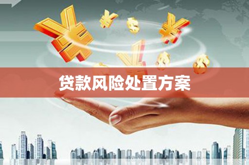 柳南贷款风险处置方案