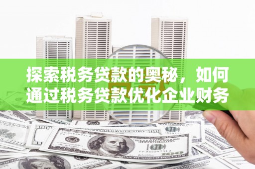 柳南探索税务贷款的奥秘，如何通过税务贷款优化企业财务