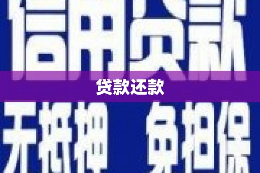 柳南贷款还款