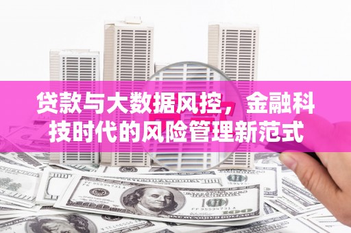 柳南贷款与大数据风控，金融科技时代的风险管理新范式