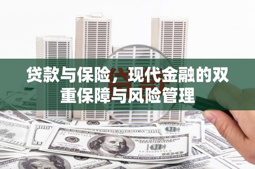 柳南贷款与保险，现代金融的双重保障与风险管理