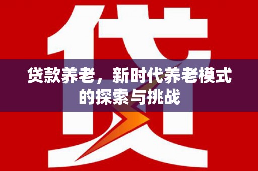 柳南贷款养老，新时代养老模式的探索与挑战