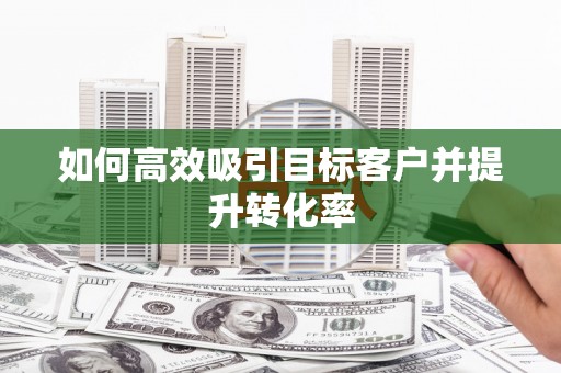 柳南如何高效吸引目标客户并提升转化率