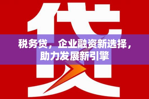 柳南税务贷，企业融资新选择，助力发展新引擎