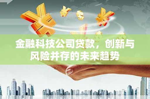 柳南金融科技公司贷款，创新与风险并存的未来趋势
