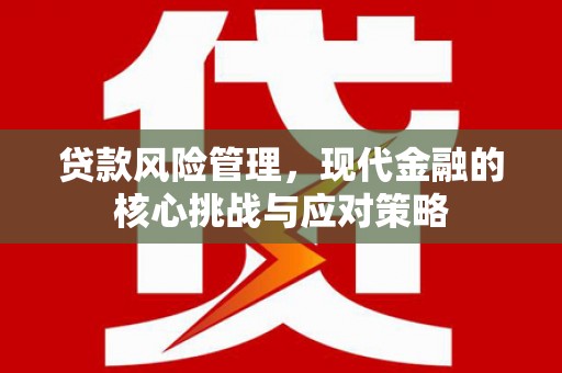 柳南贷款风险管理，现代金融的核心挑战与应对策略