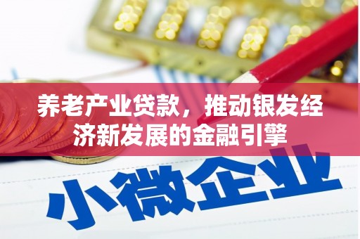 柳南养老产业贷款，推动银发经济新发展的金融引擎