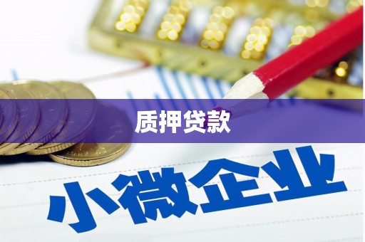 柳南质押贷款