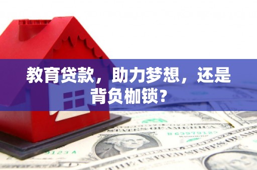 柳南教育贷款，助力梦想，还是背负枷锁？