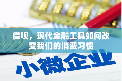 柳南借呗，现代金融工具如何改变我们的消费习惯