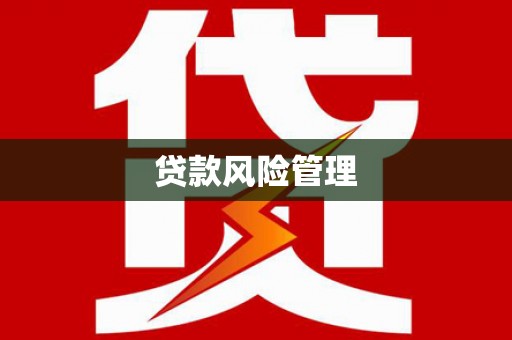 柳南贷款风险管理
