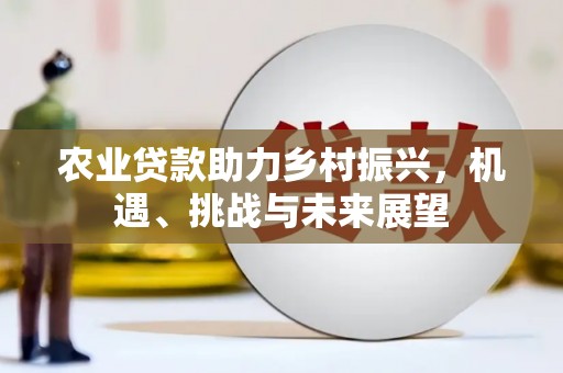 柳南农业贷款助力乡村振兴，机遇、挑战与未来展望