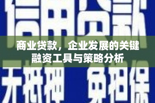 柳南商业贷款，企业发展的关键融资工具与策略分析