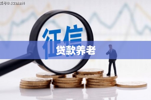 柳南贷款养老