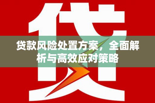 柳南贷款风险处置方案，全面解析与高效应对策略