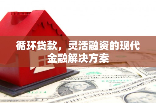 柳南循环贷款，灵活融资的现代金融解决方案