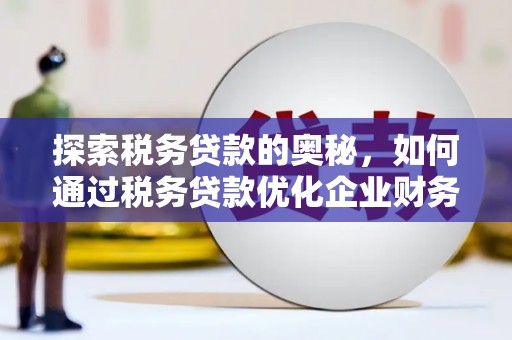 柳南探索税务贷款的奥秘，如何通过税务贷款优化企业财务