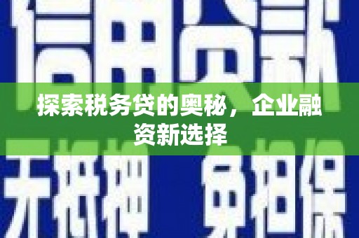 柳南探索税务贷的奥秘，企业融资新选择