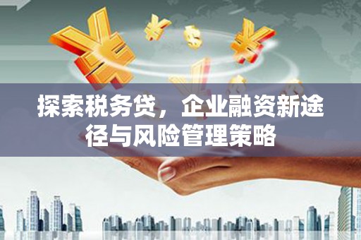 柳南探索税务贷，企业融资新途径与风险管理策略