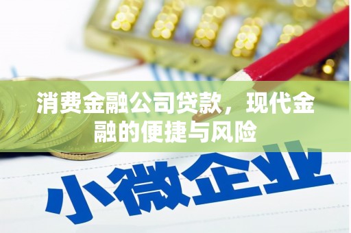 柳南消费金融公司贷款，现代金融的便捷与风险