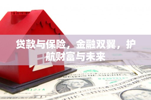 柳南贷款与保险，金融双翼，护航财富与未来