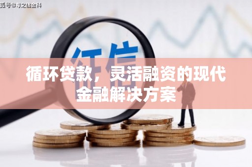 柳南循环贷款，灵活融资的现代金融解决方案