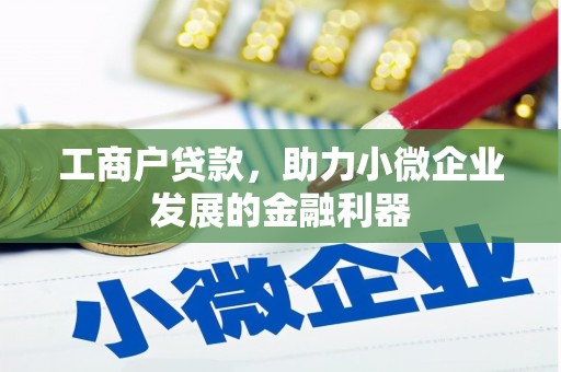 柳南工商户贷款，助力小微企业发展的金融利器