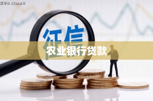 柳南农业银行贷款