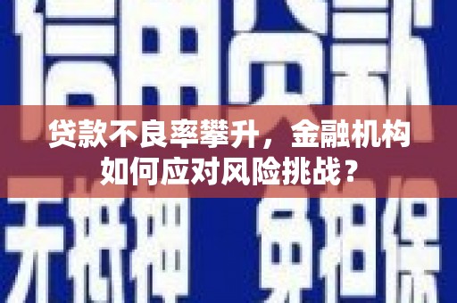 柳南贷款不良率攀升，金融机构如何应对风险挑战？
