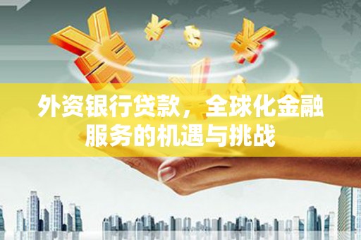 柳南外资银行贷款，全球化金融服务的机遇与挑战