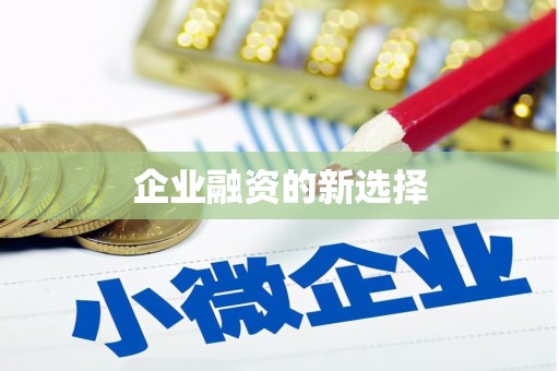 柳南企业融资的新选择