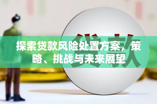柳南探索贷款风险处置方案，策略、挑战与未来展望