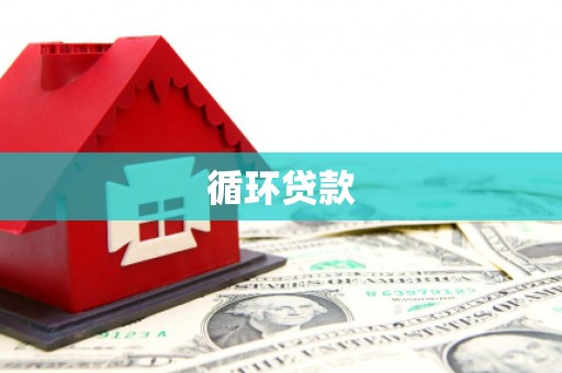 柳南循环贷款