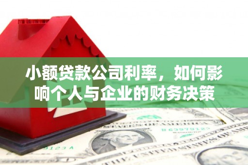 柳南小额贷款公司利率，如何影响个人与企业的财务决策