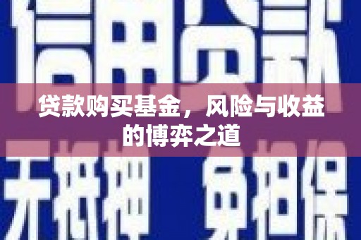 柳南贷款购买基金，风险与收益的博弈之道