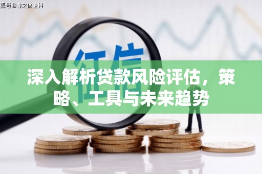 柳南深入解析贷款风险评估，策略、工具与未来趋势