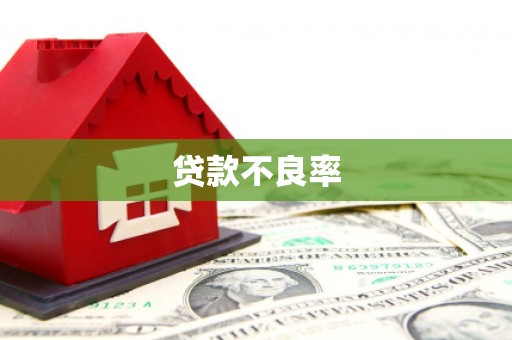 柳南贷款不良率
