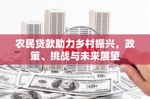 柳南农民贷款助力乡村振兴，政策、挑战与未来展望