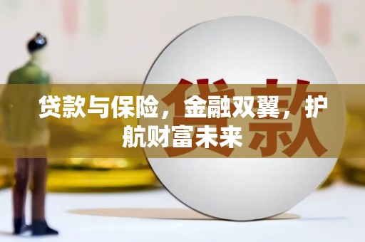 柳南贷款与保险，金融双翼，护航财富未来