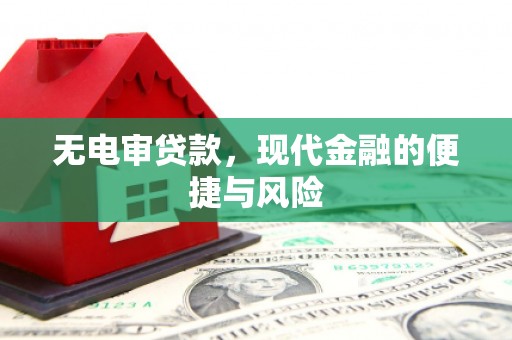 柳南无电审贷款，现代金融的便捷与风险