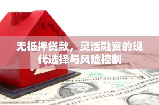 柳南无抵押贷款，灵活融资的现代选择与风险控制