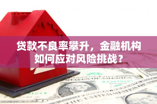 柳南贷款不良率攀升，金融机构如何应对风险挑战？