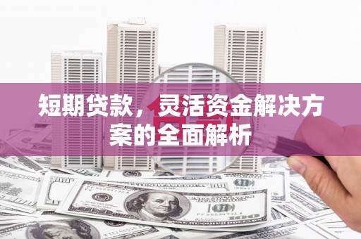 柳南短期贷款，灵活资金解决方案的全面解析