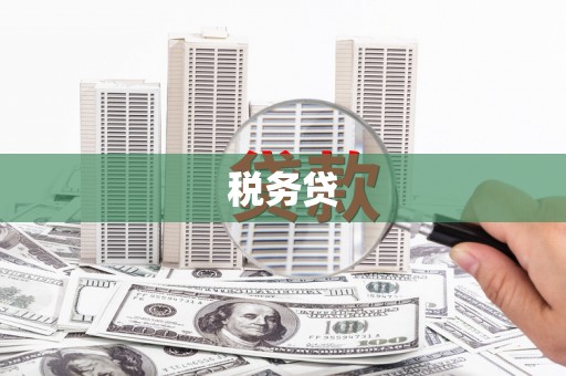 柳南税务贷